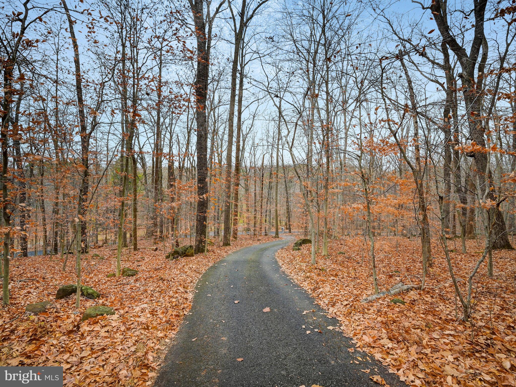 3121 Tucker Road Street, MD 21154 - Photo 50 of 50 tree lined driveway