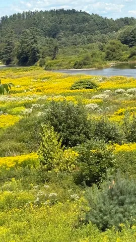 $295,000 | 610 Bishop Road, Unit 1821 & 18022, Lisbon, NH 03585