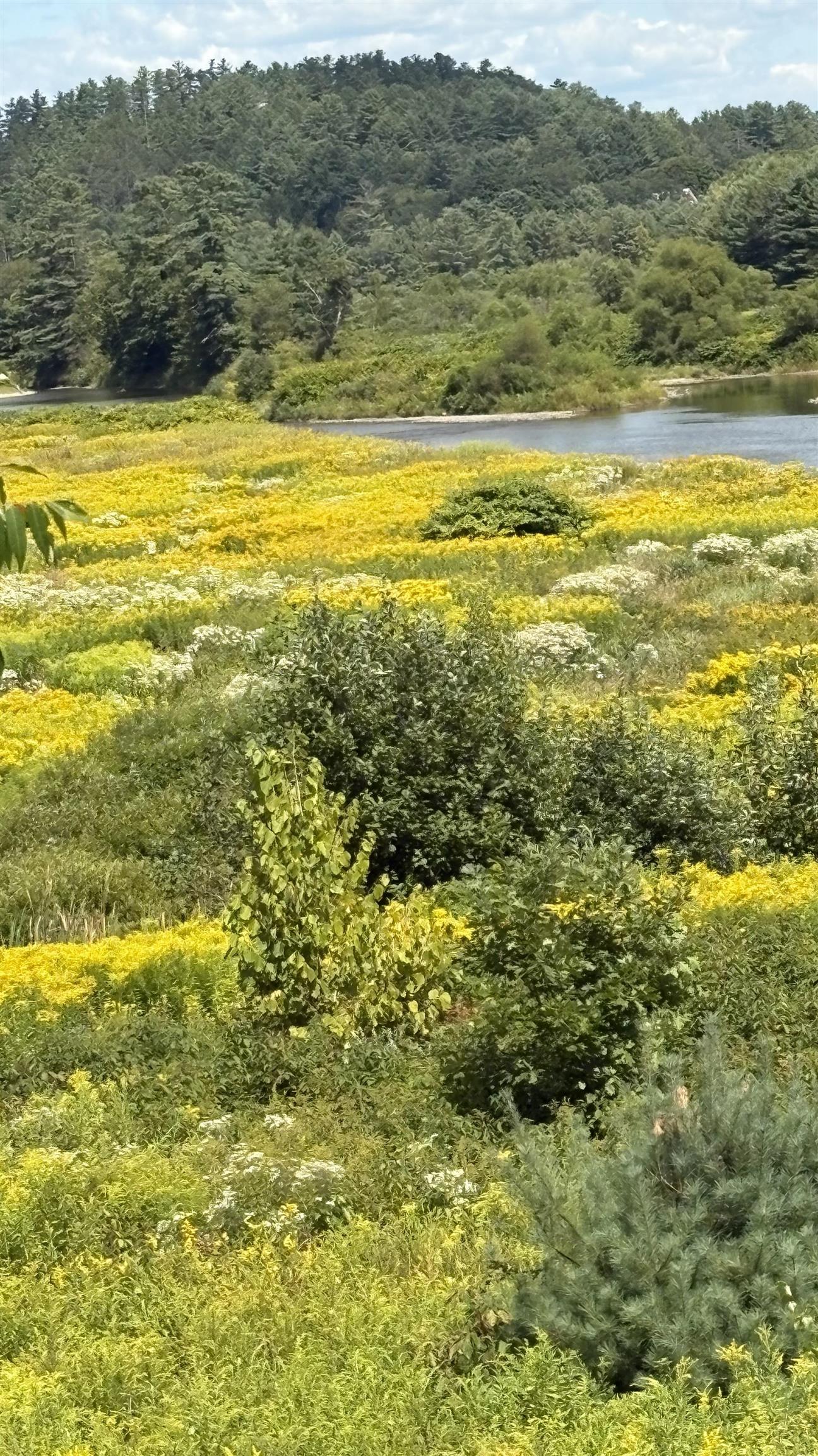 610 Bishop Road, Unit 1821 & 18022 Lisbon, NH 03585 - Photo 3 of 14