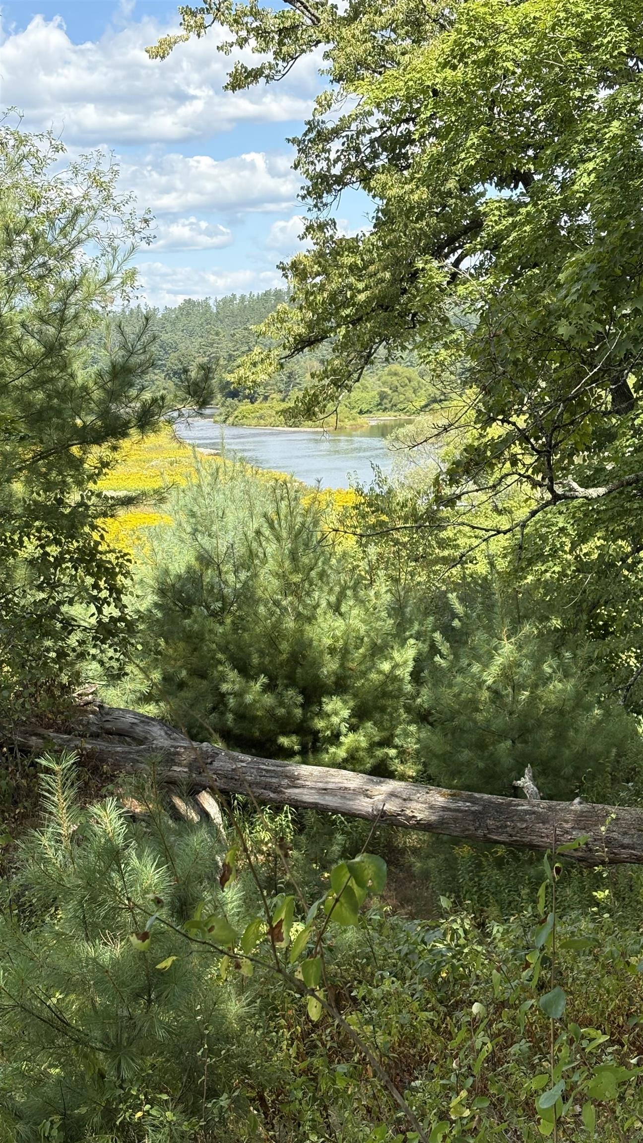 610 Bishop Road, Unit 1821 & 18022 Lisbon, NH 03585 - Photo 6 of 14