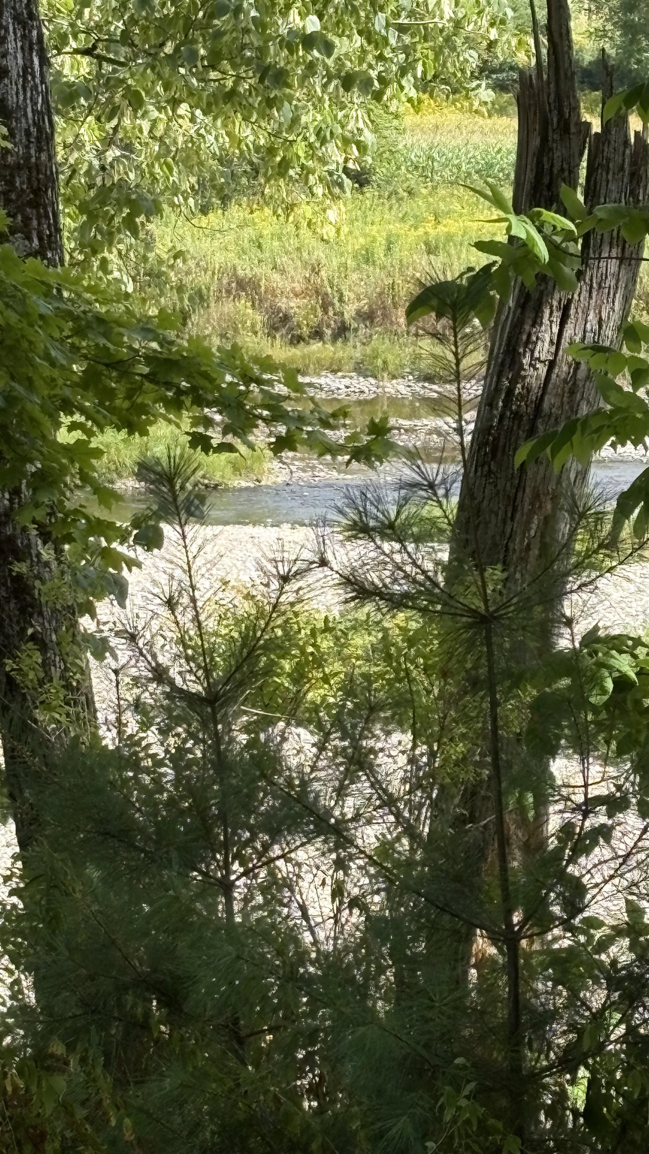 610 Bishop Road, Unit 1821 & 18022 Lisbon, NH 03585 - Photo 7 of 14