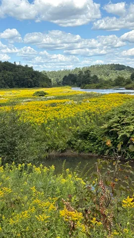 $295,000 | 610 Bishop Road, Unit 1821 & 18022, Lisbon, NH 03585