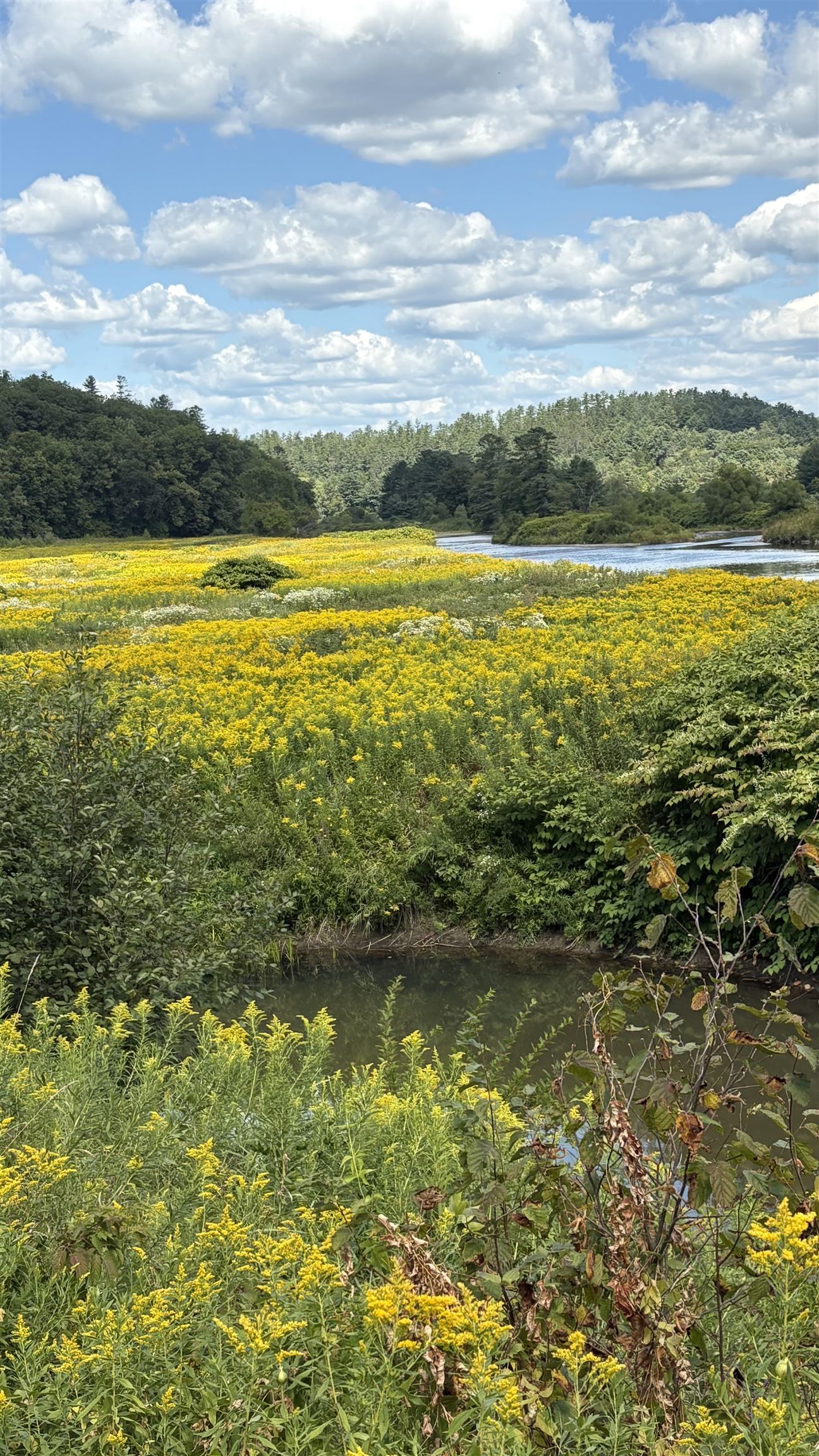 610 Bishop Road, Unit 1821 & 18022 Lisbon, NH 03585 - Photo 8 of 14