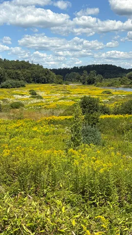 $295,000 | 610 Bishop Road, Unit 1821 & 18022, Lisbon, NH 03585