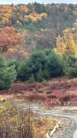 $295,000 | 610 Bishop Road, Unit 1821 & 18022, Lisbon, NH 03585