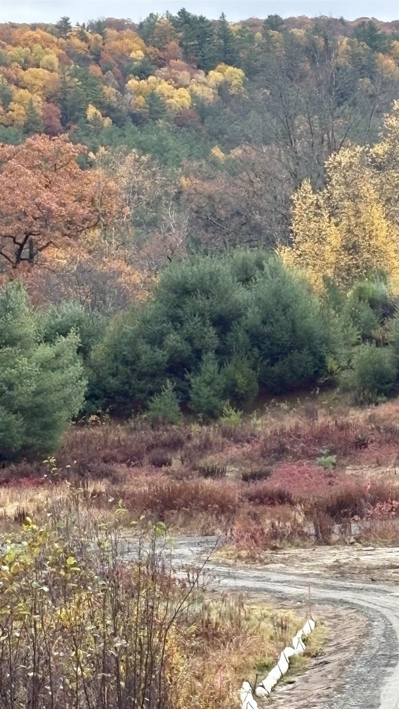 610 Bishop Road, Unit 1821 & 18022 Lisbon, NH 03585 - Photo 10 of 14