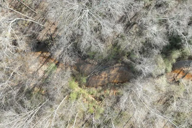 a view of road with large trees