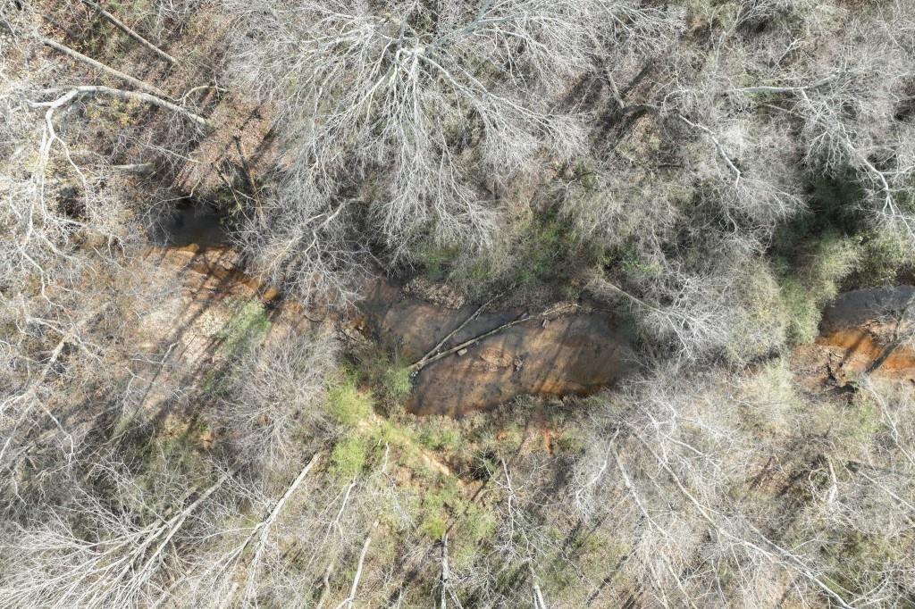 Lot 12 Rolling Ridge Drive Gillsville, GA 30543 - Photo 12 of 18 a view of a forest with lots of trees