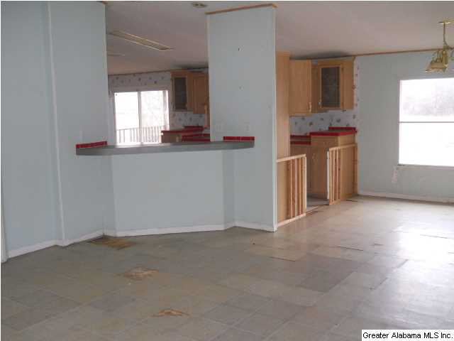 241 Happy Knoll Road Ashville, AL 35953 - Photo 10 of 17