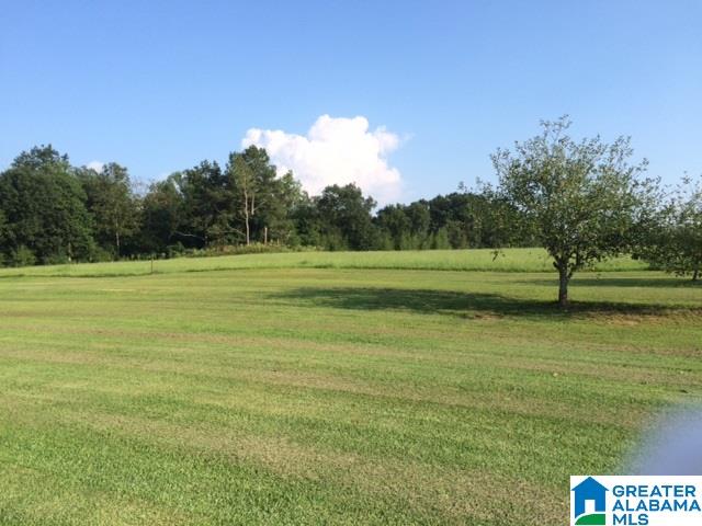460 Moore Road Altoona, AL 35952 - Photo 22 of 29
