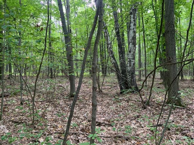 West Scott Road Ossineke, MI 49766 - Photo 13 of 15 Gallery Image 13