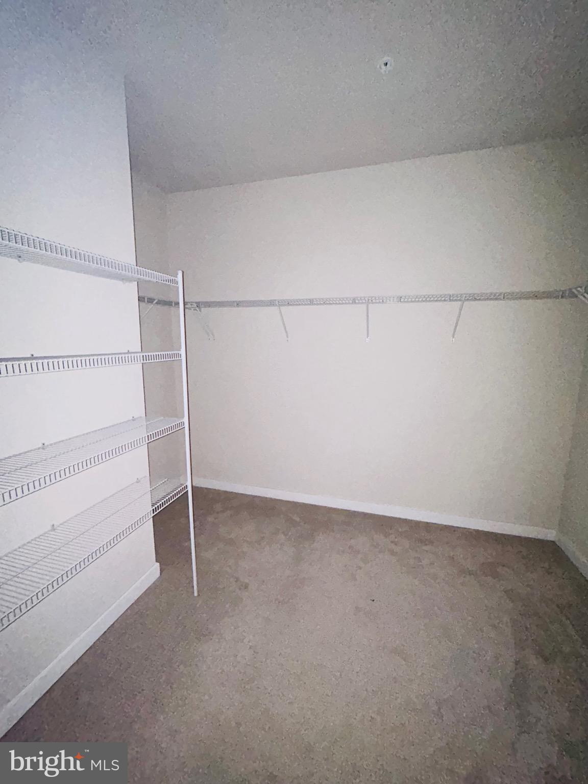 22351 Roanoke Rise Terrace Ashburn, VA 20148 - Photo 21 of 28 a view of an empty walk in closet