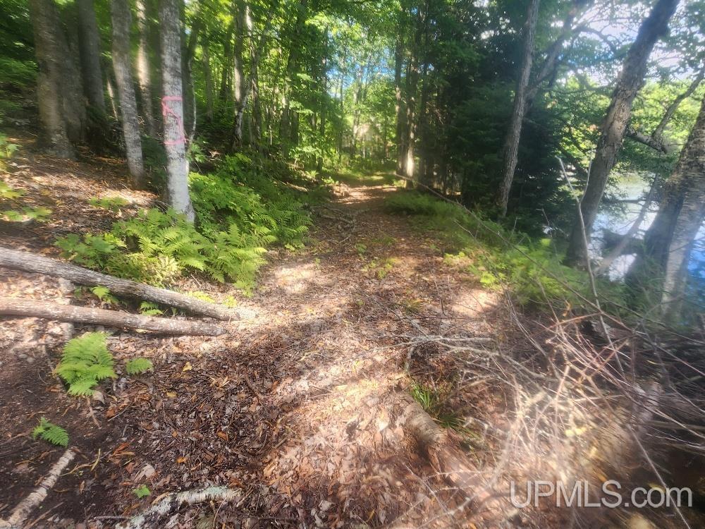 Tbd West Tamarack Lake Road, Unit LOT 5 Watersmeet, MI 49969 - Photo 33 of 66