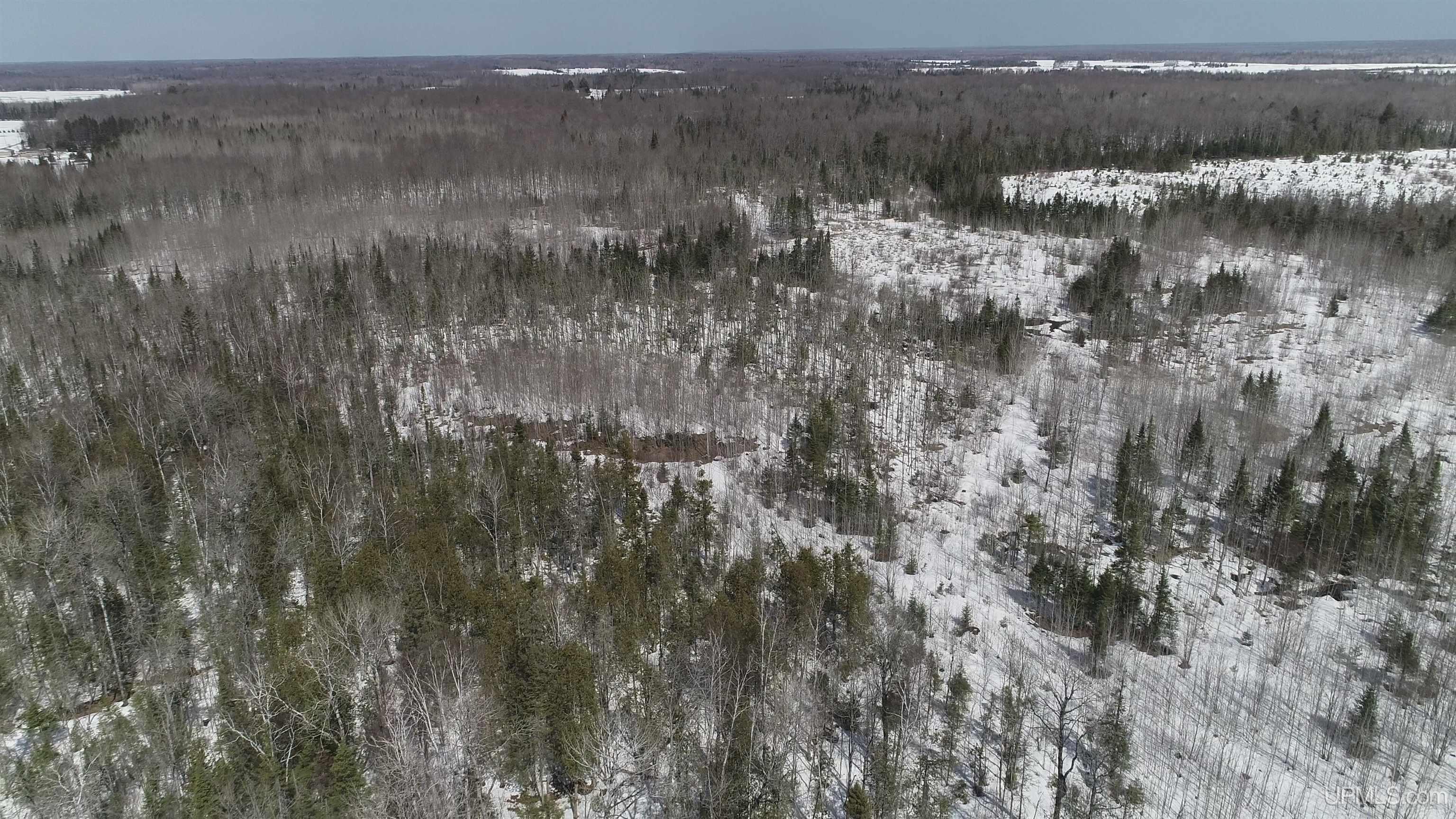 V25 Rd Trenary Mi 49891 Road Rapid River, MI 49878 - Photo 20 of 28