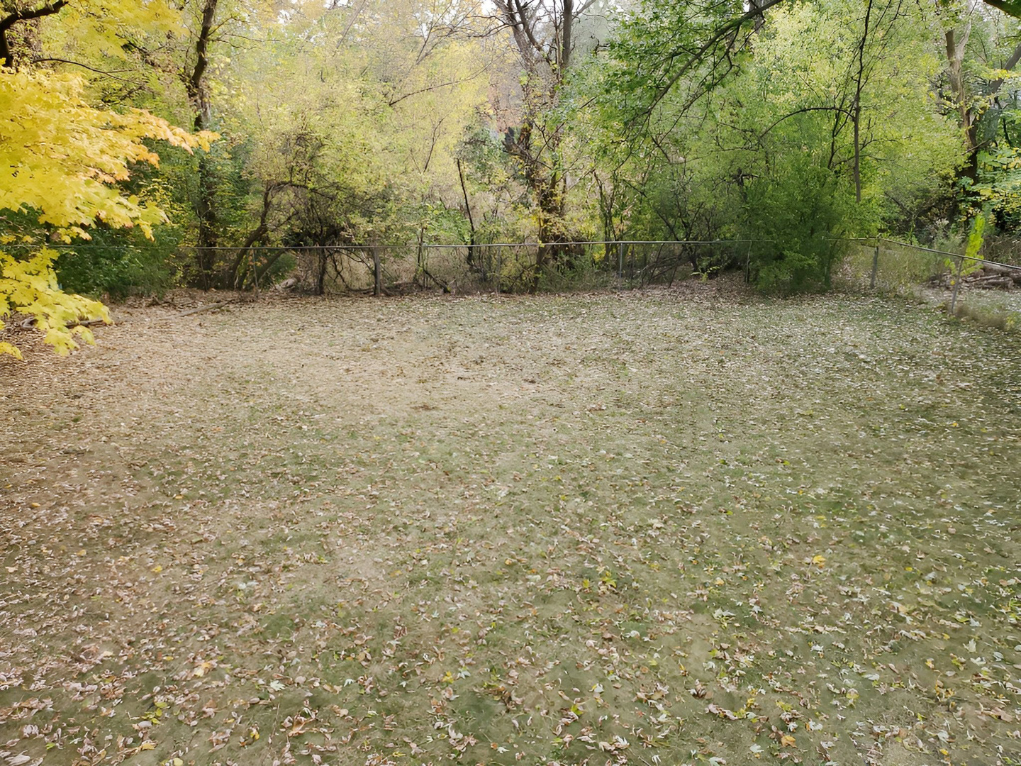 533 Surryse Road Lake Zurich, IL 60047 - Photo 47 of 51 a view of a dry yard with trees