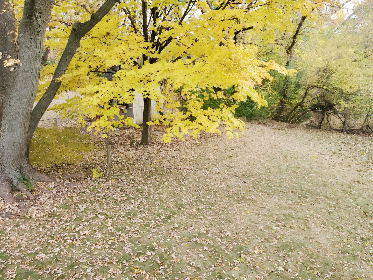 533 Surryse Road Lake Zurich, IL 60047 - Photo 49 of 51 view of a yard with wooden fence