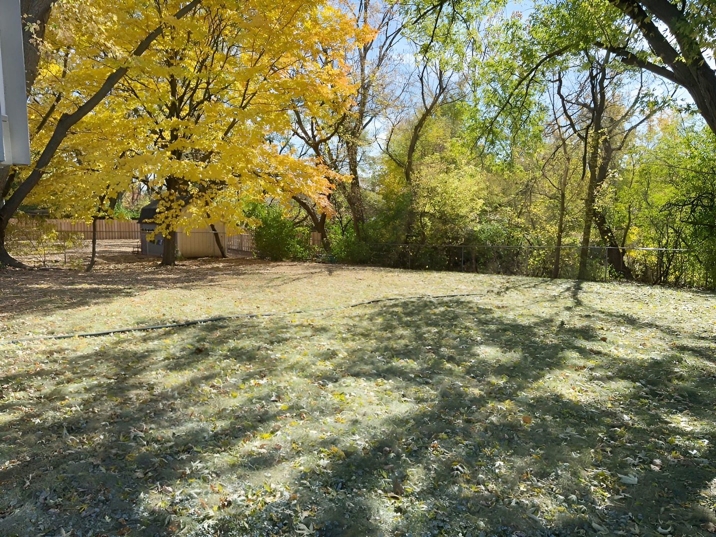 533 Surryse Road Lake Zurich, IL 60047 - Photo 50 of 51 a view of yard with trees