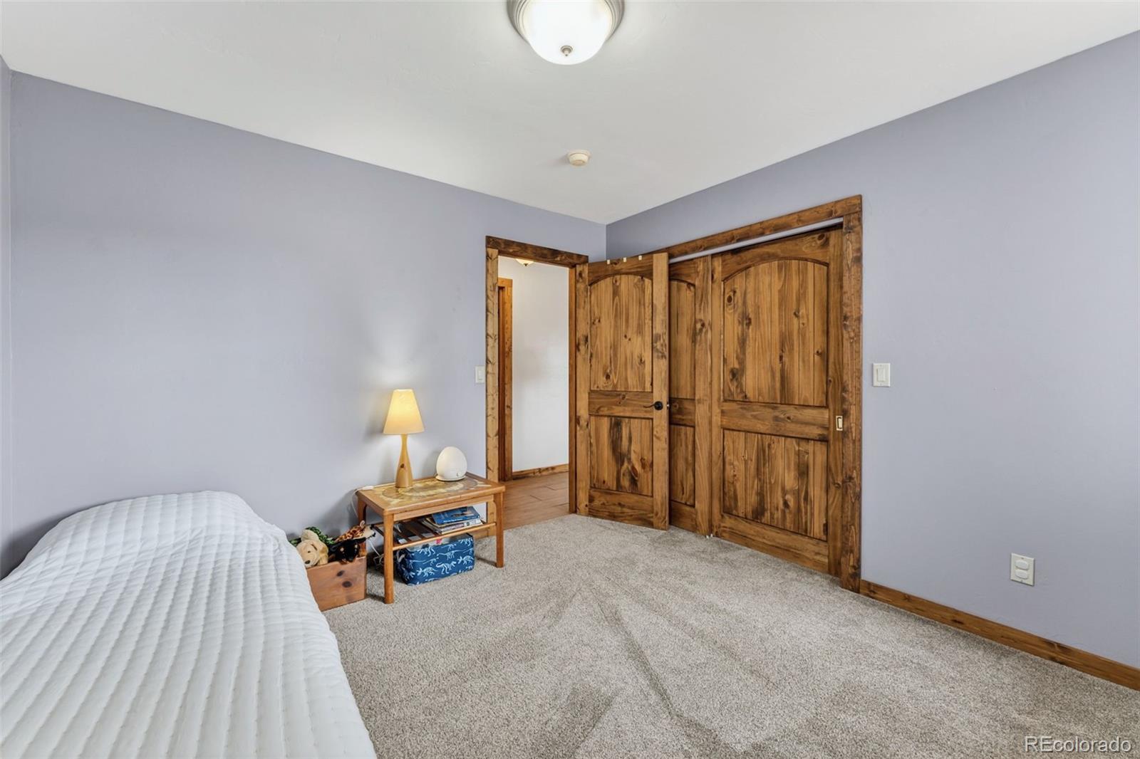 152 Windwalker Road Buena Vista, CO 81211 - Photo 30 of 49