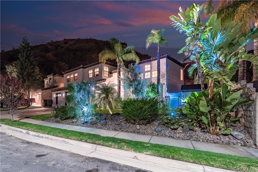 a front view of a house with a yard and plant in front of it