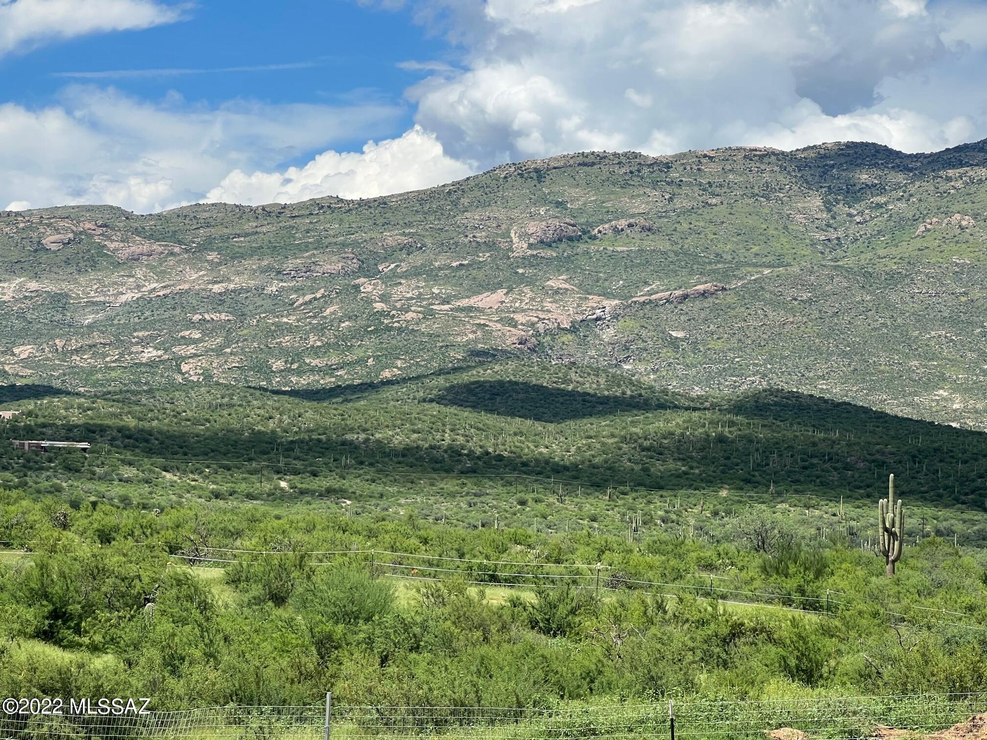 7460 Rolling Tumbleweed Road Vail, AZ 85641 - Photo 4 of 44