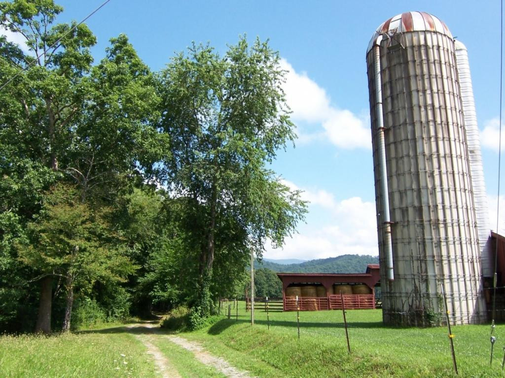 211 H Heaton Road Elizabethton, TN 37643 - Photo 33 of 35 Silo next to upper driveway