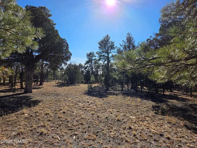 $70,000 | 4302 Timberline Drive, Happy Jack, AZ 86024