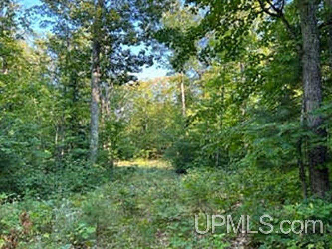 4 Lake Enchantment Road Marquette, MI 49855 - Photo 17 of 18