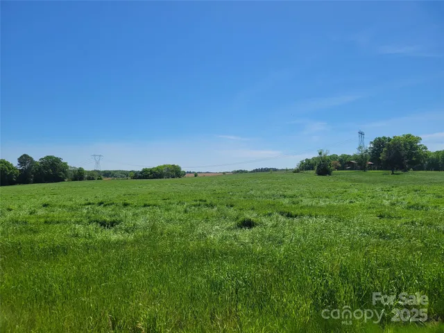 a view of field with grass and trees