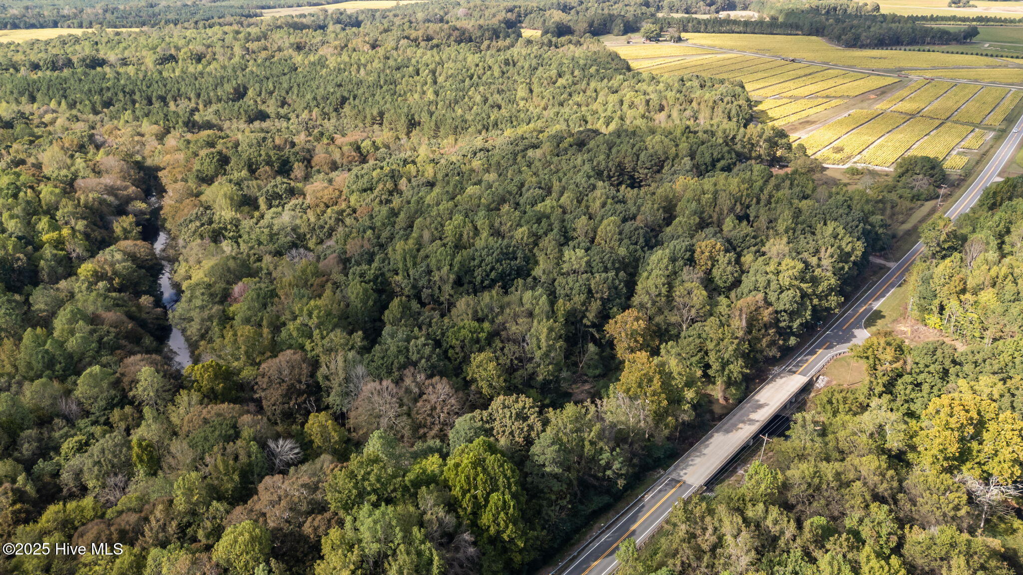 8782 Red Oak Road Whitakers, NC 27891 - Photo 9 of 50 13-web-or-mls-DJI_20251003154653_0501_D