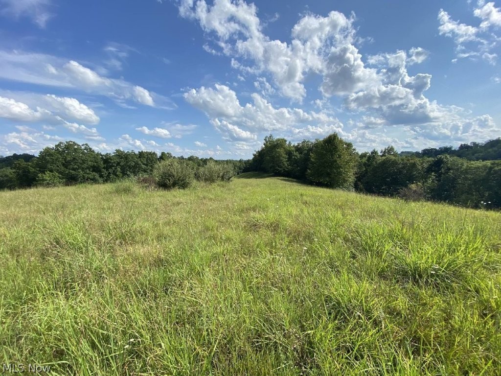 Little Left Hand Road Amma, WV 25005 - Photo 3 of 18 Gallery Image 3