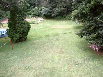 9501 Hilliard Road Pittsburgh, PA 15237 - Photo 4 of 8 Yard/Garden.