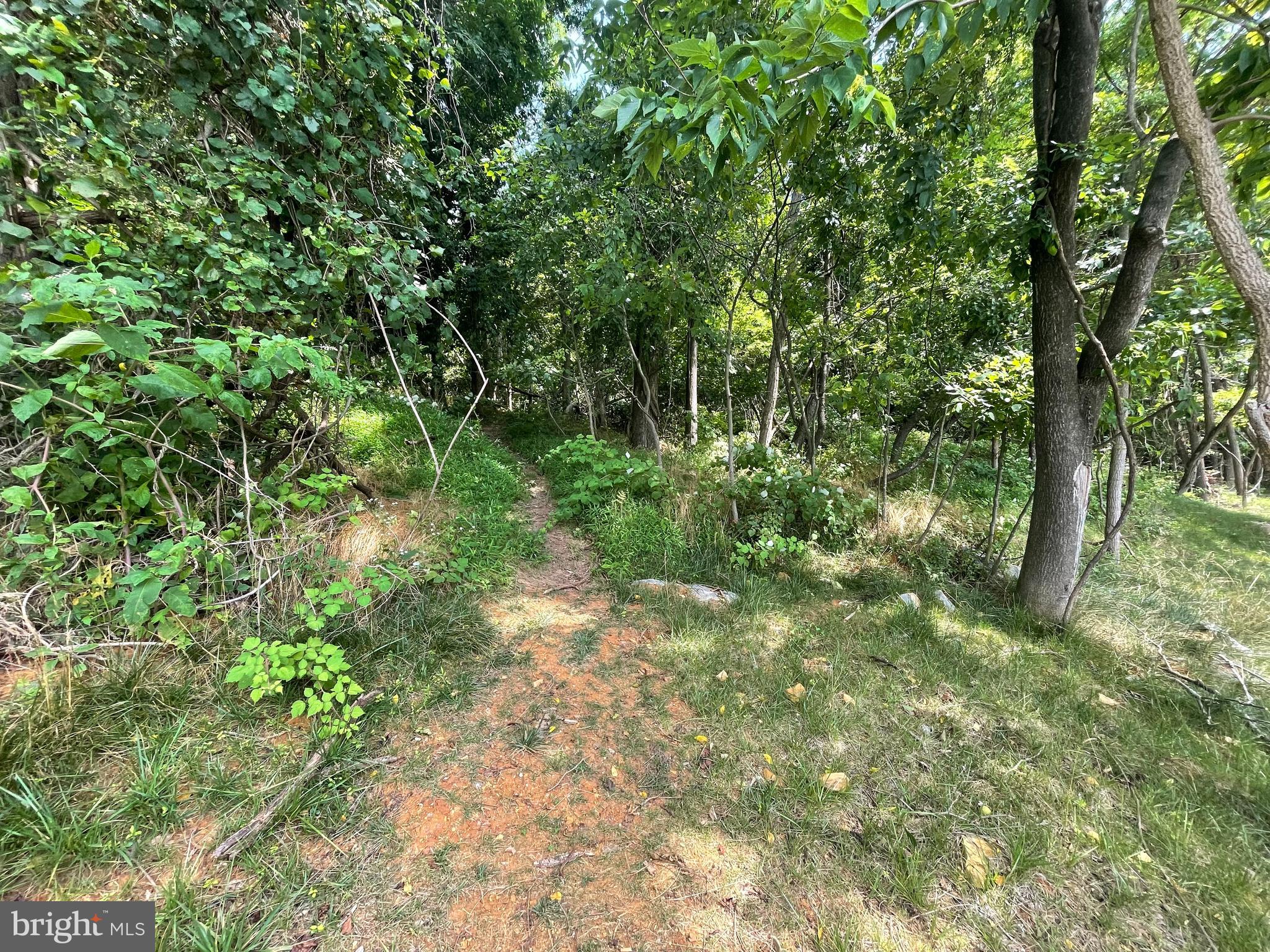 237 15th Avenue Ranson, WV 25438 - Photo 1 of 5