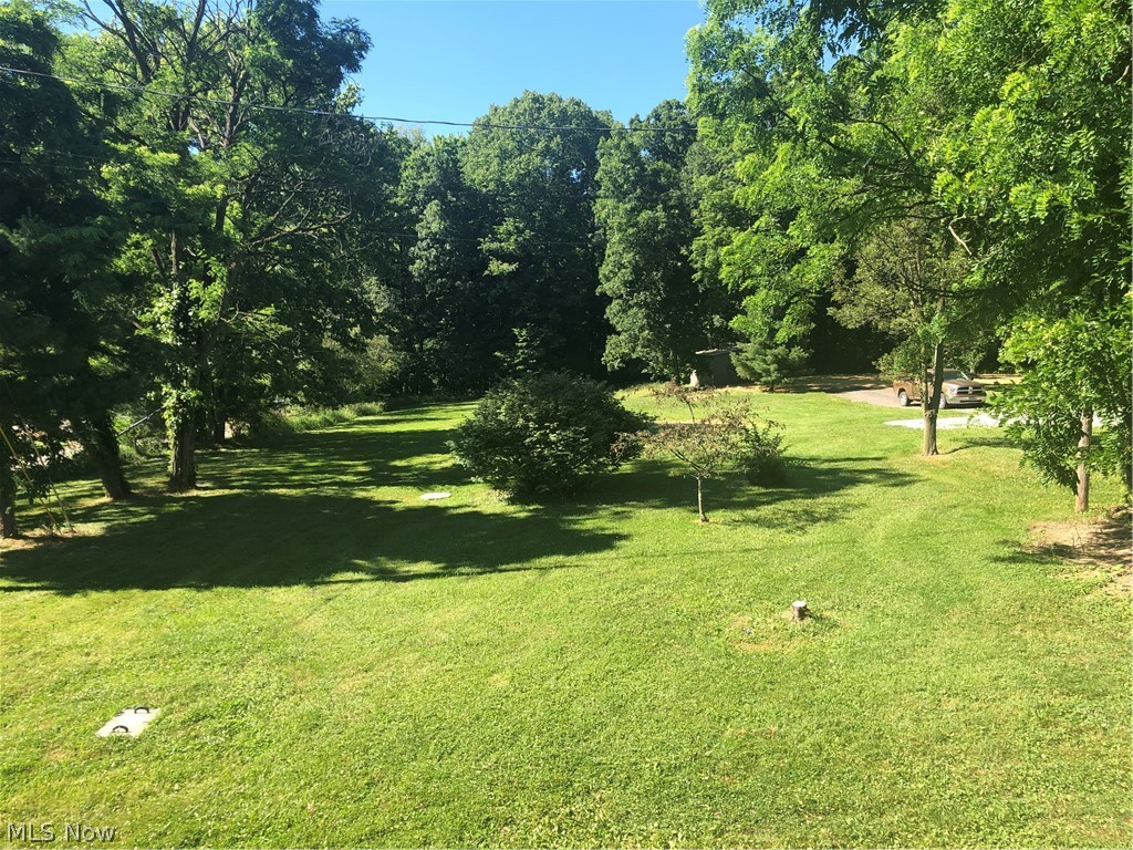 8515 Chippewa Road Lodi, OH 44254 - Photo 16 of 20 Back yard