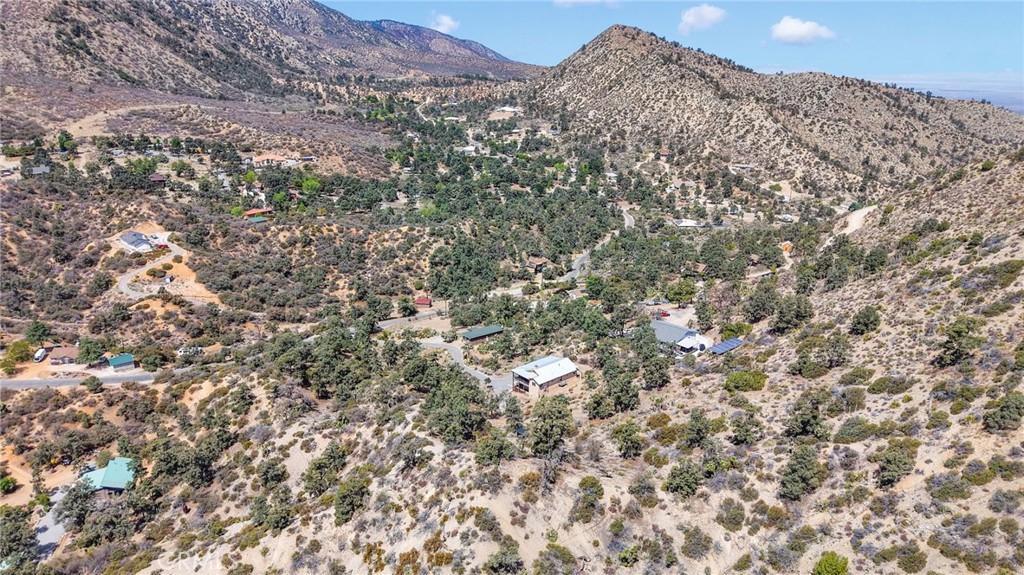 7635 Desert Front Road Wrightwood, CA 92397 - Photo 55 of 60 a view of a large tree in a field