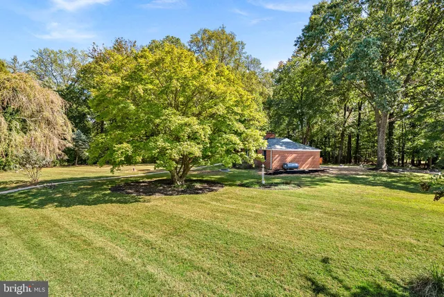 a view of park benches with trees in the background
