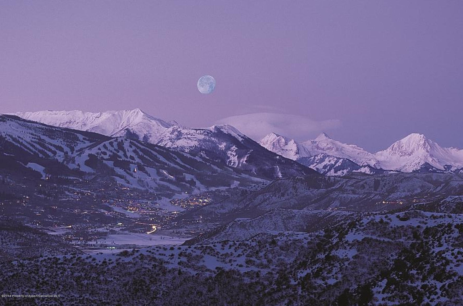 770 Pioneer Springs Ranch Road Aspen, CO 81611 - Photo 43 of 46 a view of a large tree in a yard
