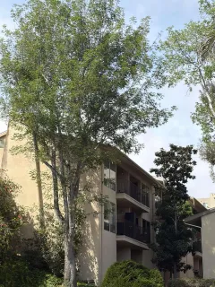 a view of a lake with a yard