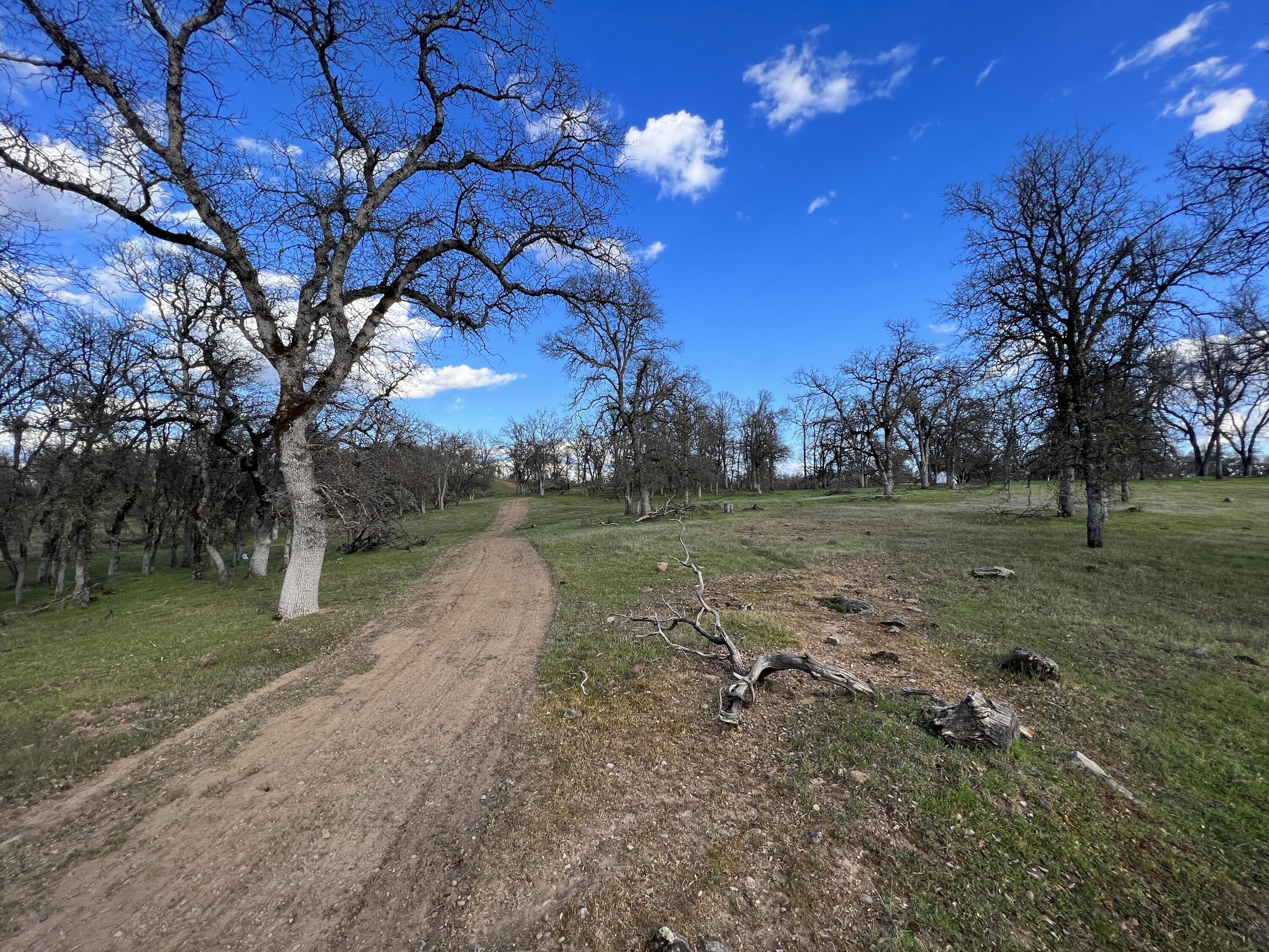 Swede Creek Road Palo Cedro, CA 96073 - Photo 10 of 14 Photo Mar 09, 4 42 46 PM