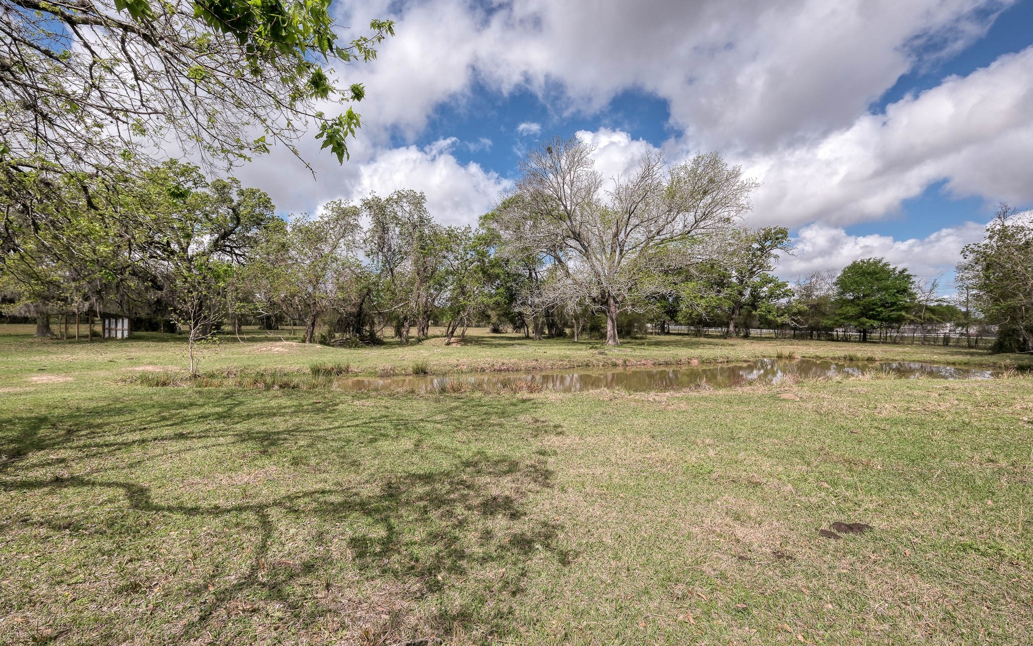 25945 Kickapoo Road Hockley, TX 77447 - Photo 25 of 35 Relax by the pond