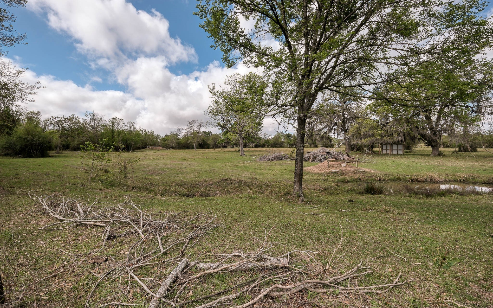 25945 Kickapoo Road Hockley, TX 77447 - Photo 26 of 35 Lots of room to roam