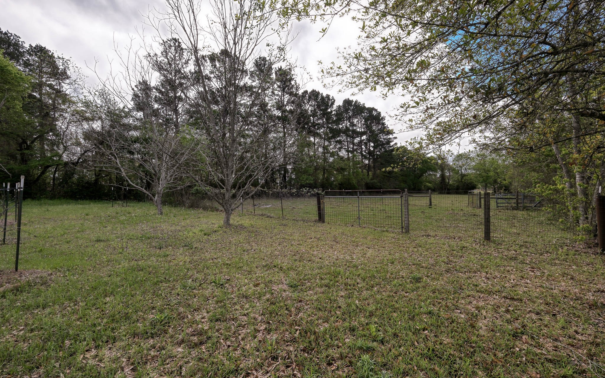 25945 Kickapoo Road Hockley, TX 77447 - Photo 27 of 35 Property is fenced & cross fenced.