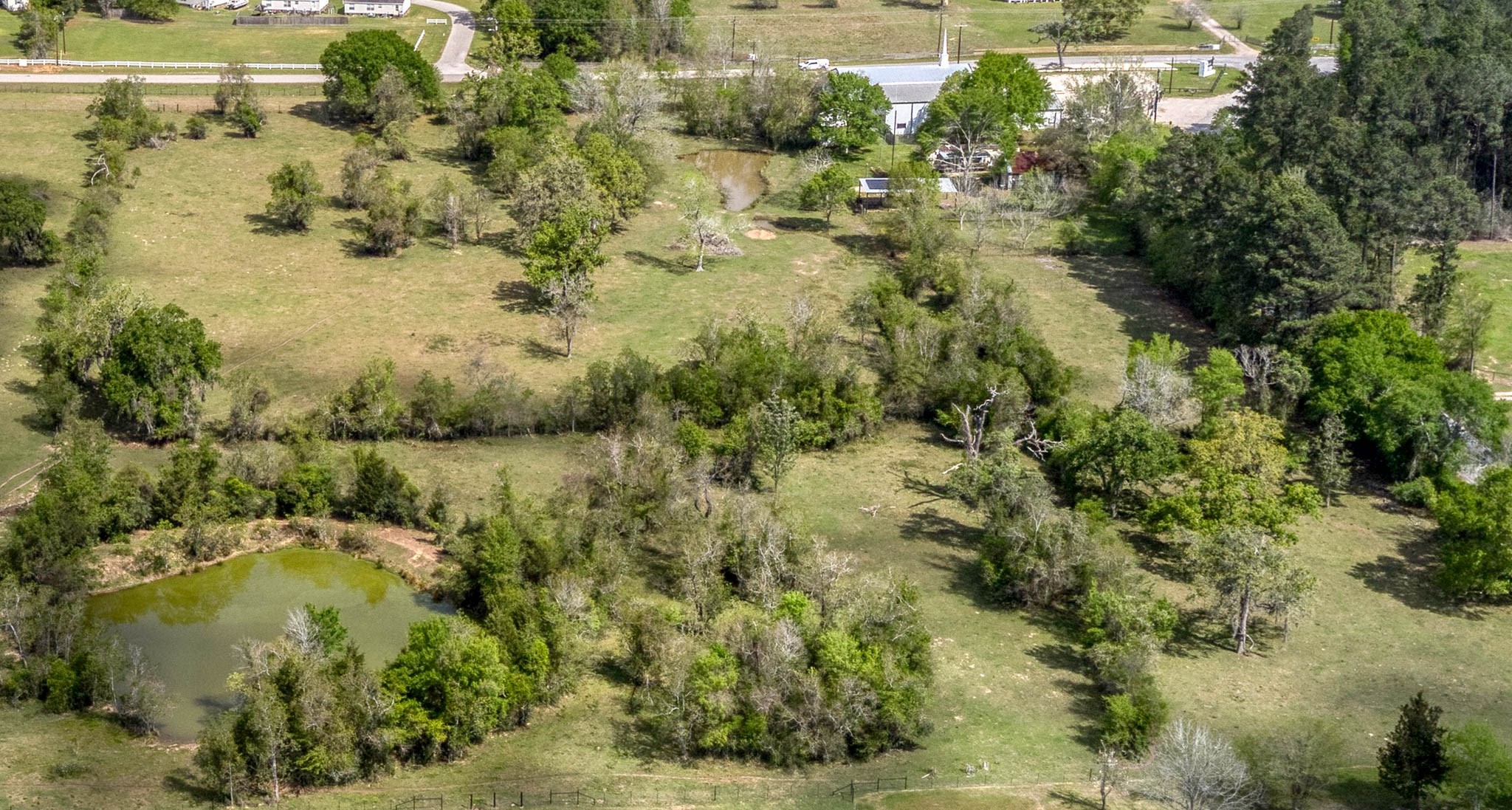 25945 Kickapoo Road Hockley, TX 77447 - Photo 29 of 35 Nice clusters of trees that add privacy
