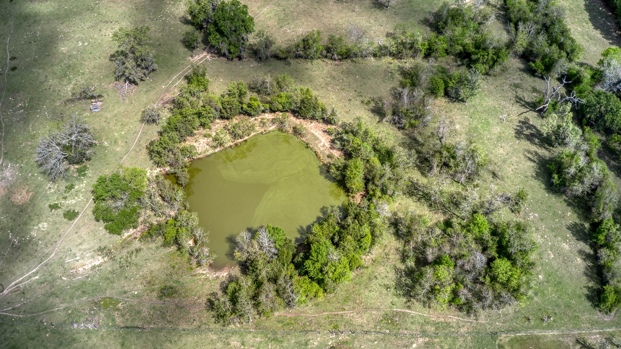 25945 Kickapoo Road Hockley, TX 77447 - Photo 30 of 35 Second large pond which is great for cattle