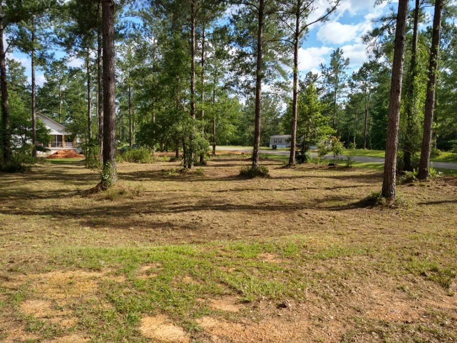 50972 Dyas Road Bay Minette, AL 36507 - Photo 1 of 7