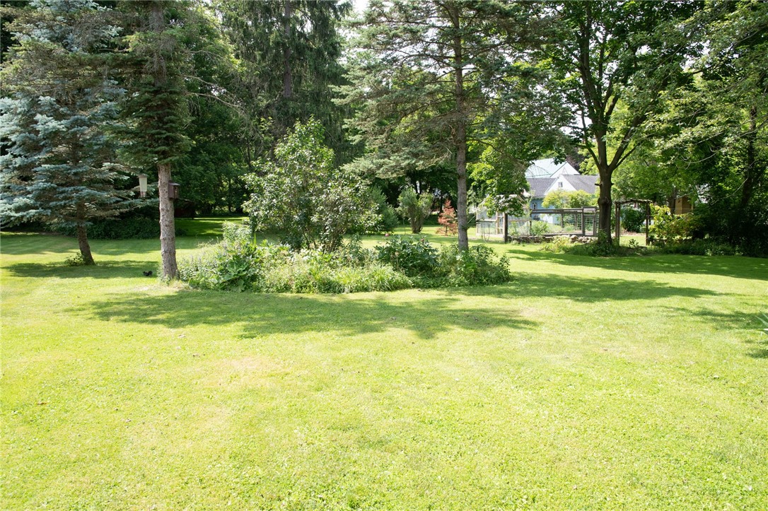 55 North Maple Street Warsaw, NY 14569 - Photo 31 of 33 Back yard