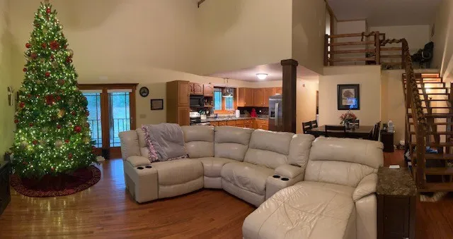 a living room with furniture and a potted plant