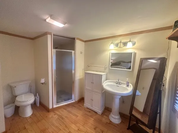 a bathroom with a toilet a sink and mirror