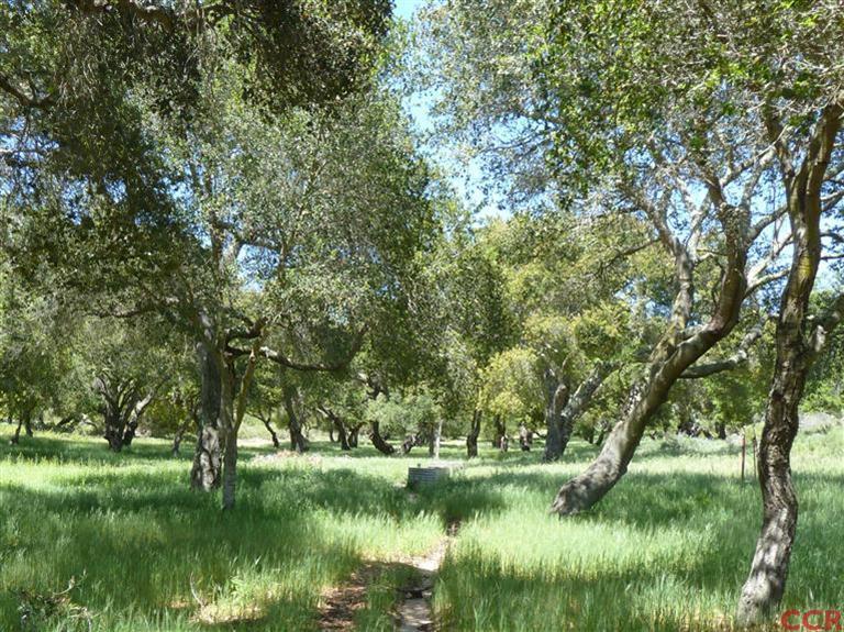 7527 Old Careaga Ranch Road Santa Maria, CA 93455 - Photo 17 of 22 a view of a lake with a large trees