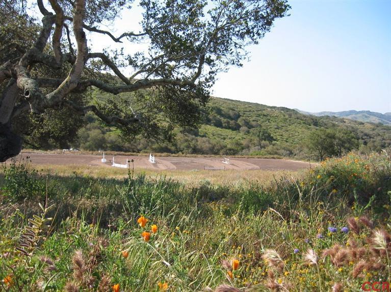 7527 Old Careaga Ranch Road Santa Maria, CA 93455 - Photo 3 of 22 a view of a field with a tree
