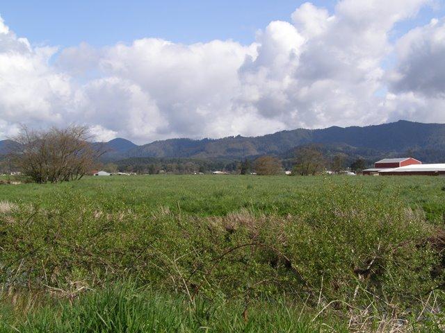 Vl Hadley Road North Tillamook, OR 97141 - Photo 8 of 18 Prop&View3.JPG